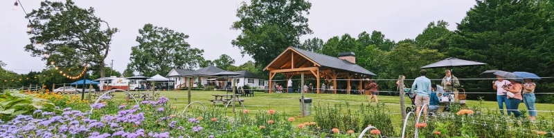 PXL_20230720_221625732